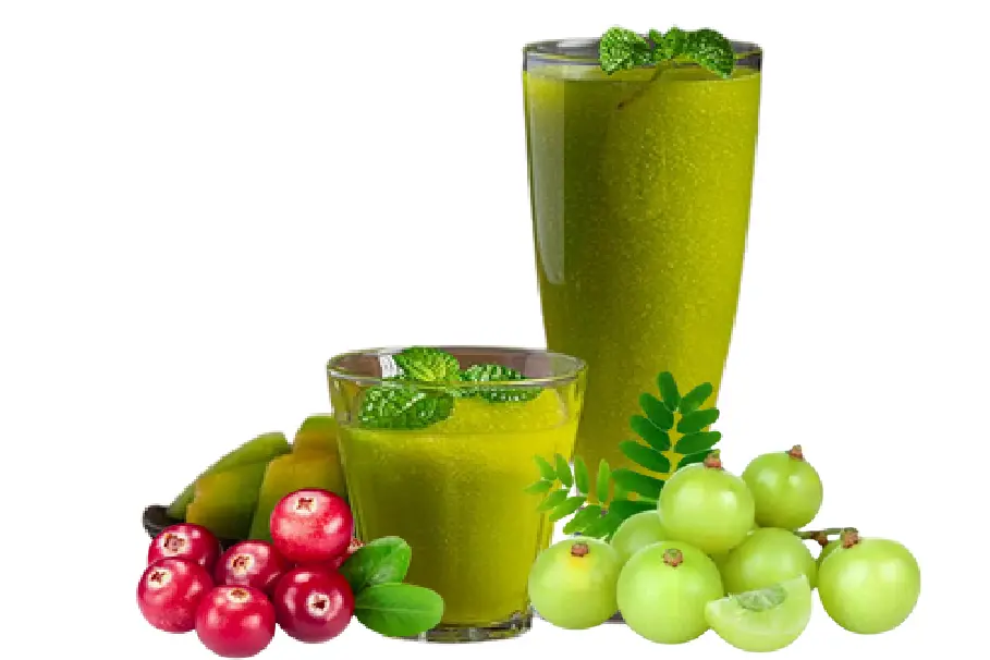 buy aloe vera juice online, buy amla juice online, multi berry juice benefits, neem karela jamun juice, neem giloy juice, buy wheat grass juice